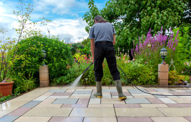Best Driveway Pressure Washing  in Albany, OR